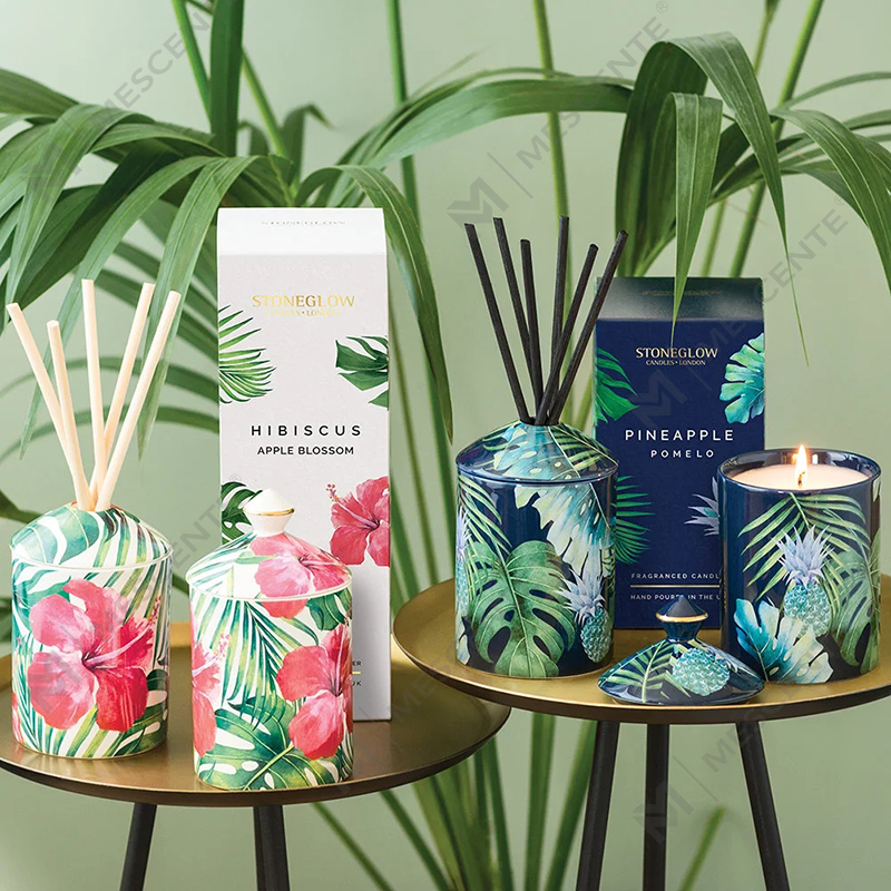 Lumanare cu pahar cu cutie plianta M&Scent Special Design Color Urban Botanics