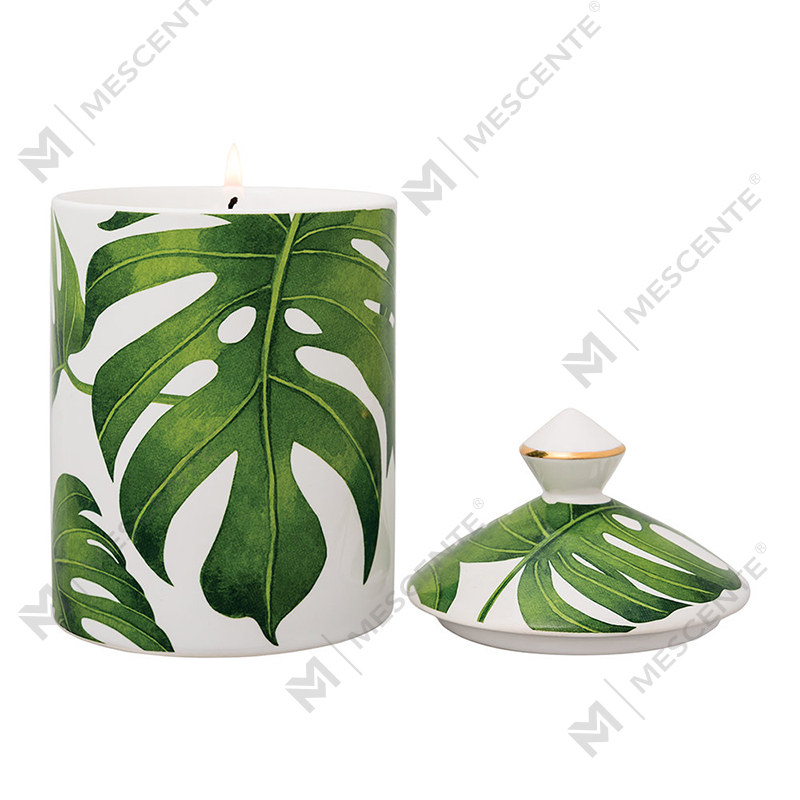 Lumanare cu pahar cu cutie plianta M&Scent Special Design Color Urban Botanics