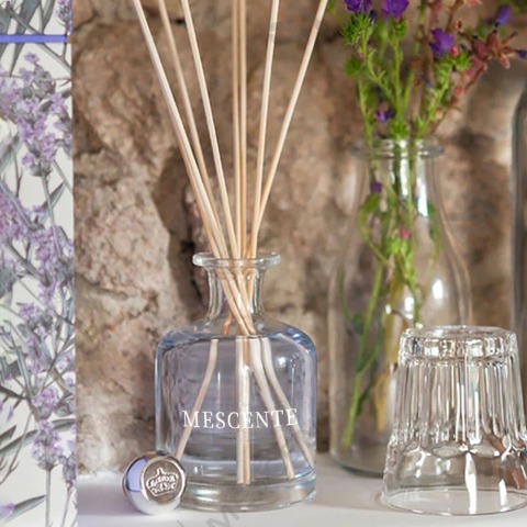 Diferența dintre difuzorul de trestie de aromă și umidificator
